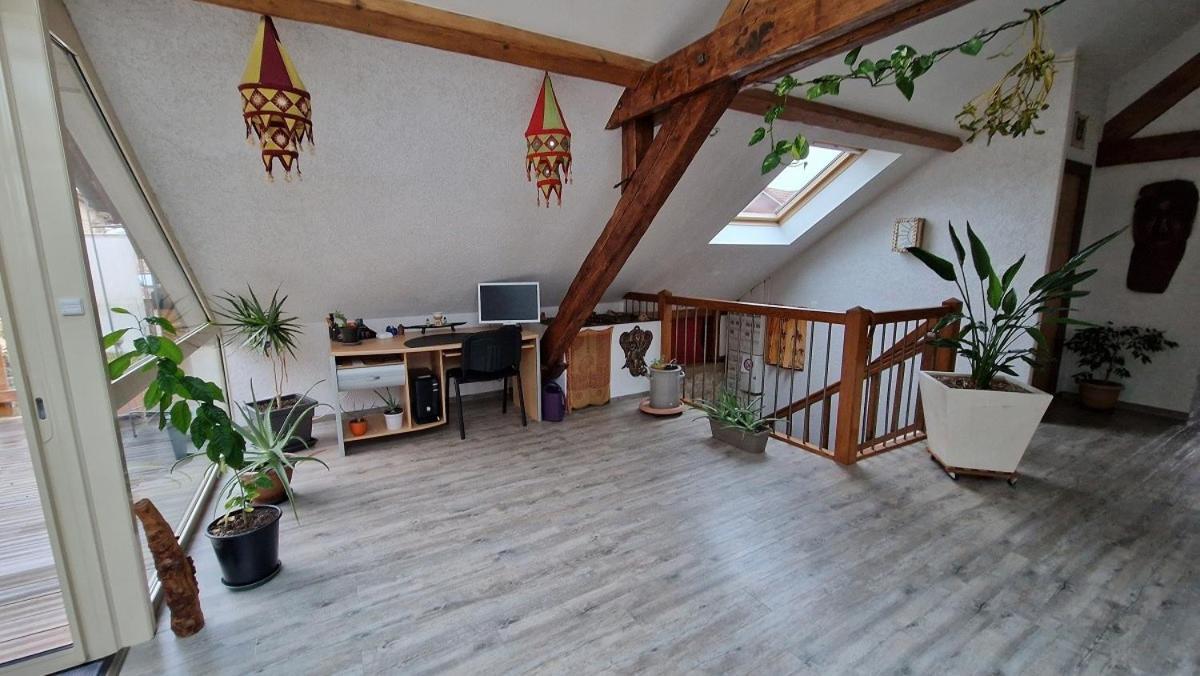 Bel Appartement 120 M² Tres Lumineux Avec Terrasse Morvillars Luaran gambar
